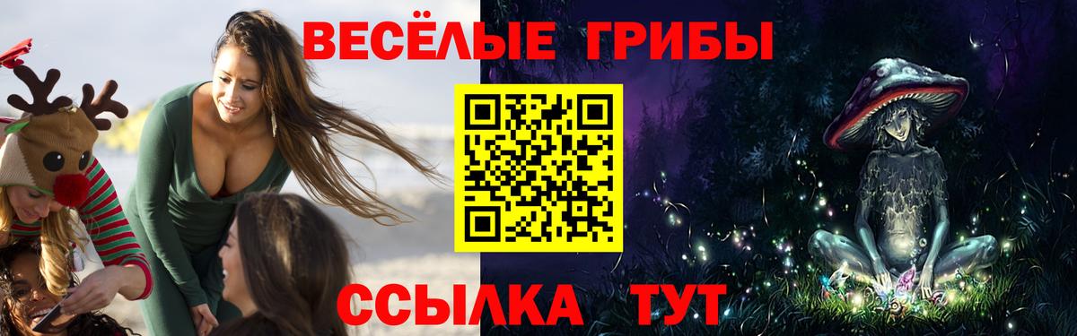 Красноуфимск  Псилоцибиновые грибы мухоморы  Вход с VPN 