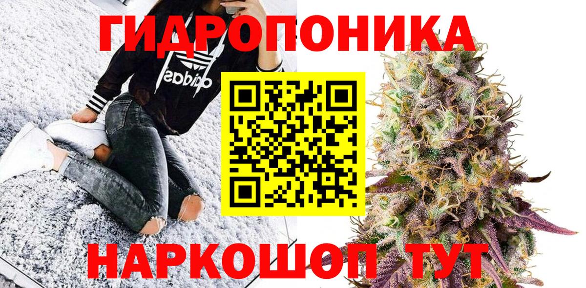 Красноуфимск  Каннабис OG Kush  Вход с VPN  Марихуана сатива  МАРИХУАНА сатива 